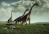 Brachiosaurus species in the nature. This is a 3d render illustration. Poster #616956454
