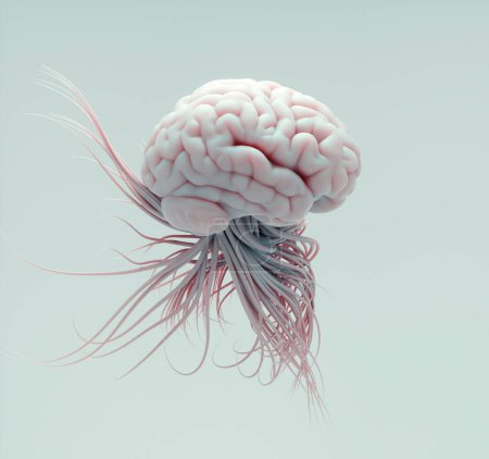 Foto de Brain from which the tentacles come out. Negative thoughts, apathy, depression. The sadness that captured my thoughts. Suffering, emptiness inside yourself. Feeling of anxiety. This is a 3d render illustration - Imagen libre de derechos