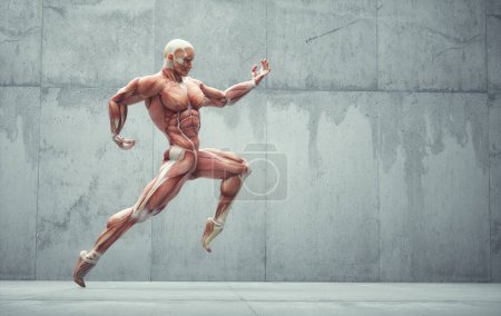 Foto de Sistema muscular masculino posando sobre el fondo. Concepto de fitness y estilo de vida saludable. Esta es una ilustración de renderizado 3d - Imagen libre de derechos