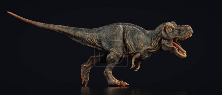 Foto de Tyrannosaurus Rex sobre fondo negro. Esta es una ilustración de renderizado 3d - Imagen libre de derechos