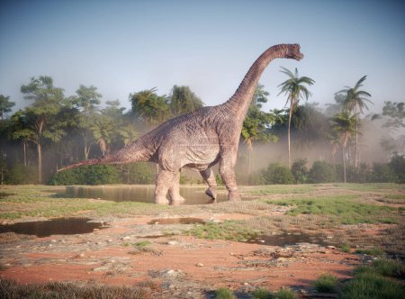 Foto de Brachiosaurus dinosaurio en la naturaleza. Esta es una ilustración de renderizado 3d - Imagen libre de derechos