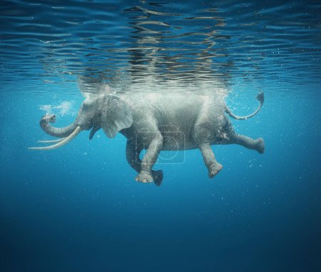 Photo for Umderwater view of an elephant swiming. Freedom and escape concept. This is a 3d render illustration. - Royalty Free Image