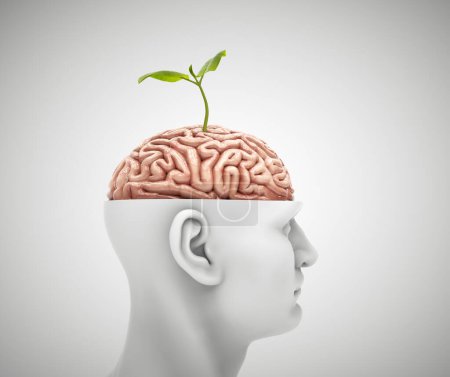 Photo for Man with half head and a brain with a small plant on it. This is a 3d render illustration - Royalty Free Image