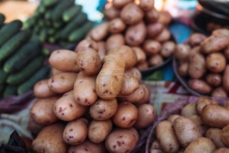 Photo for Closeup of fresh organic yellow potatoes on counter of farm market for sale. Rich harvest concept. Healthy organic product.. - Royalty Free Image