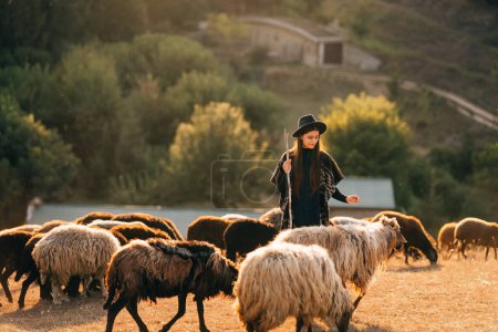 Photo for Female shepherd and flock of sheep at a lawn - Royalty Free Image