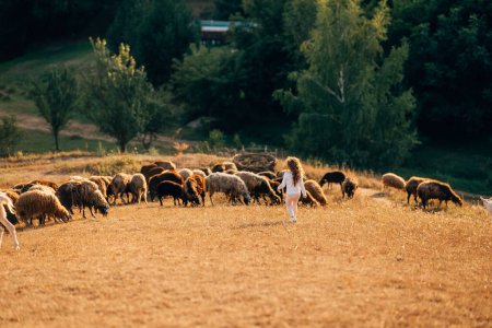 Foto de Hermoso prado con una niña y animales ovejas, la vida en la granja - Imagen libre de derechos