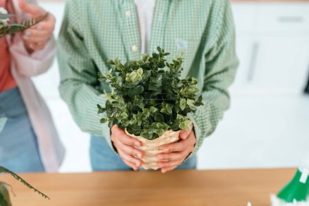 Téléchargez les photos : Image recadrée femme tenant plante en pot. De belles plantes d'intérieur en cadeau. - en image libre de droit