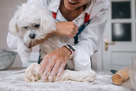 Photo for Woman in the kitchen is kneading the dough with a dog in the kitchen - Royalty Free Image
