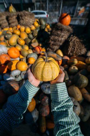 Téléchargez les photos : Vendeuse montrant la récolte d'automne sur la caméra. Le concept d'agriculture. - en image libre de droit