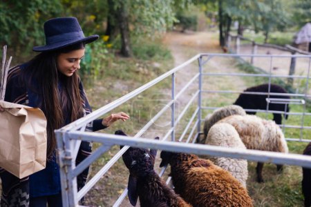 Téléchargez les photos : Une jeune belle femme nourrit un mouton - en image libre de droit