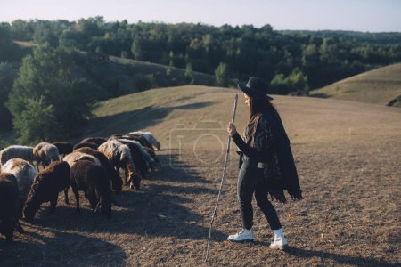 Foto de Pastor y rebaño de ovejas en un césped - Imagen libre de derechos