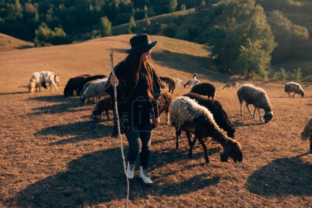 Foto de Pastor y rebaño de ovejas en un césped - Imagen libre de derechos