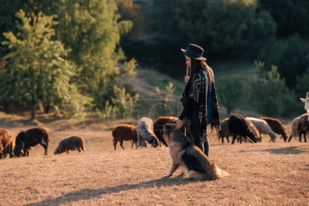 Téléchargez les photos : Berger femelle et troupeau de moutons sur une pelouse - en image libre de droit