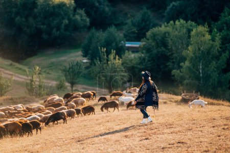 Téléchargez les photos : Berger femelle et troupeau de moutons sur une pelouse - en image libre de droit