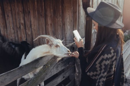 Photo for Woman takes a photo of a goat on her smartphone. Life on a farm - Royalty Free Image