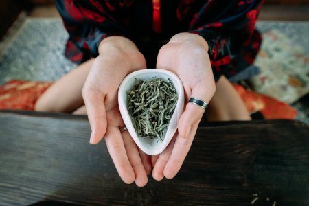 Photo for Young woman holding a small bowl of green herbal tea, close view - Royalty Free Image