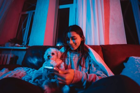 Téléchargez les photos : Belle jeune fille à la maison dans une pièce sombre avec smartphone dans ses mains jouant avec son chien et s'assoit devant un moniteur ou une télévision. Photo de haute qualité - en image libre de droit