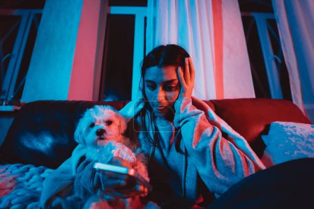 Foto de Hermosa joven en casa en una habitación oscura jugando con su perro y se sienta frente a un monitor o TV. Foto de alta calidad - Imagen libre de derechos
