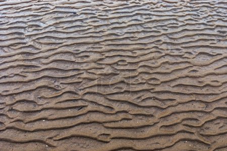 Ondulaciones en la arena en una playa