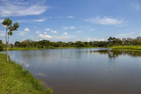 Foto de Un paisaje del Parque Leoldio di Ramos Caiado en la ciudad de Goinia con un pequeño lago y vegetación verde fresca. - Imagen libre de derechos