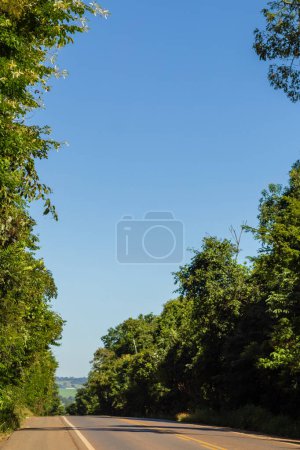 Photo for A beautiful, tree-lined stretch of the GO-156 Highway in Goias, on a clear, sunny day. - Royalty Free Image