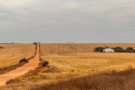 Eine unbefestigte Straße in einer ländlichen Landschaft bei trockenem Wetter im Cerrado von Goias.