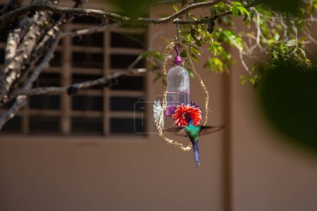 A hummingbird drinking water from a fountain decorated with artificial flowers.