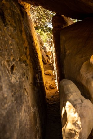 Téléchargez les photos : Le sentier traverse une fissure étroite dans les rochers du parc national Mesa Verde - en image libre de droit