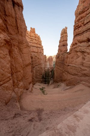 Photo for Navajo Trail Winds Down into Bryce Canyon National Park - Royalty Free Image