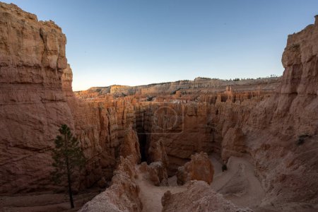 Téléchargez les photos : Le sentier sinueux descend jusqu'à Wall Street dans le parc national Bryce Canyon - en image libre de droit