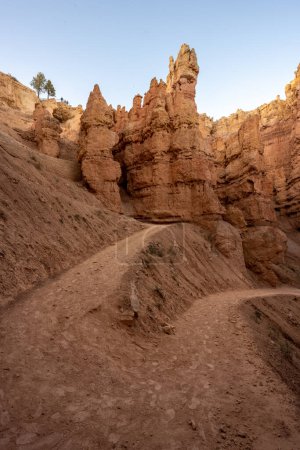 Téléchargez les photos : Remontage serré remontant le sentier Wall Street dans le parc national du Canyon-Bryce - en image libre de droit