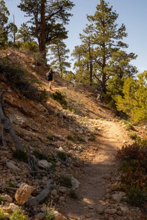 Téléchargez les photos : Un randonneur grimpe un sentier rocheux étroit dans le parc national de Bryce Canyon - en image libre de droit