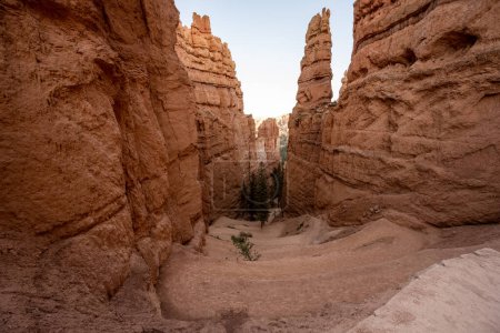 Photo for Layers of Switchbacks Down The Navajo Loop Trail in Bryce Canyon National Park - Royalty Free Image