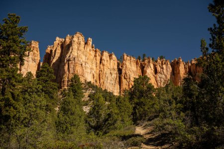 Téléchargez les photos : Levant les yeux vers un mur orange de Hoodoos en contrebas du bord dans le parc national de Bryce Canyon - en image libre de droit
