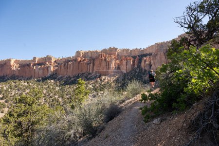 Téléchargez les photos : Le sentier Narrow Under the Rim remonte les pins Pinon du passé dans le parc national du Canyon-de-Bryce - en image libre de droit