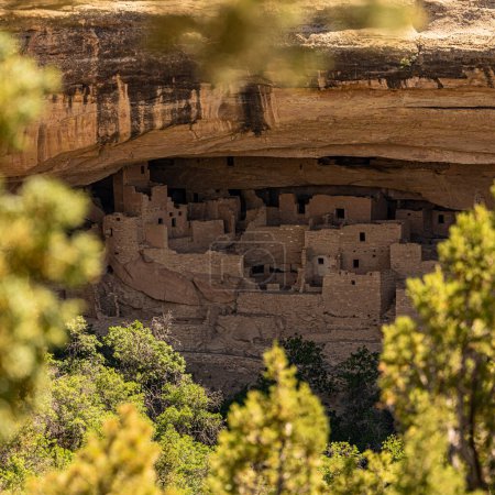 Photo for Tree Branches Frame Spruce Tree House From A Distance in Mesa Verde National Park - Royalty Free Image
