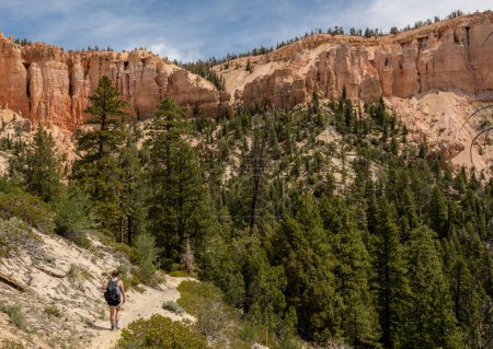 Téléchargez les photos : Une femme traverse une section sablonneuse du sentier Under the RIm dans le parc national Bryce Canyon - en image libre de droit