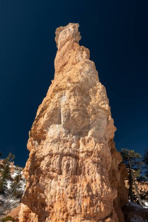 Téléchargez les photos : Looking Up at Tall Hoodoo Against Blue Sky in Bryce Canyon - en image libre de droit