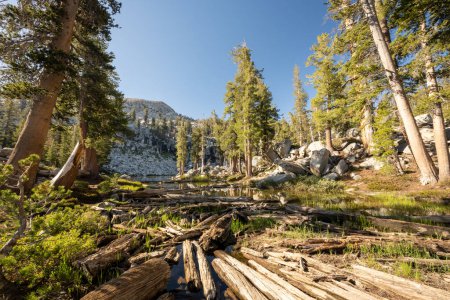 Téléchargez les photos : Outlet from Heather Lake in Sequoia National Park along the Lakes Trail - en image libre de droit