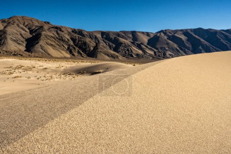 Téléchargez les photos : Smooth Crest Of Dunes In The Panamint Valley of Death Valley - en image libre de droit