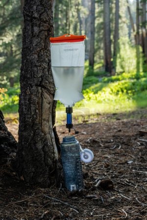 Foto de Filtro de agua de gravedad cuelga del árbol en el campamento arbolado - Imagen libre de derechos