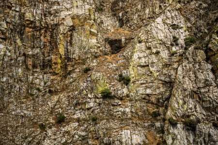 Photo for Algae and Moss Covered Cliff Walls of King Canyon National Park - Royalty Free Image