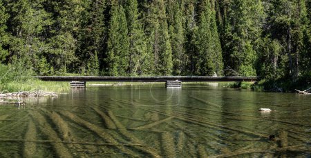 Téléchargez les photos : Pont au-dessus du lac Bear dans le parc national Grand Teton en été - en image libre de droit