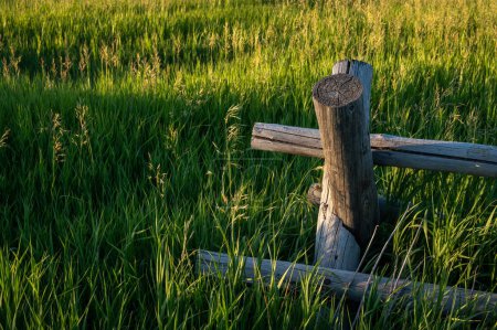Téléchargez les photos : Fin de la clôture dans le grand champ d'herbe dans le parc national de Grand Teton - en image libre de droit