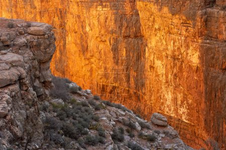 Photo for Orange Wall Glows In The Morning Light Along Boucher Trail in Grand Canyon - Royalty Free Image