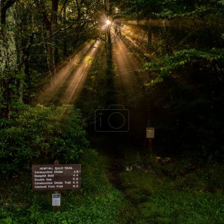 Photo for Bright Sunburst Create Light Shafts Over Trailhead in the Smokies - Royalty Free Image