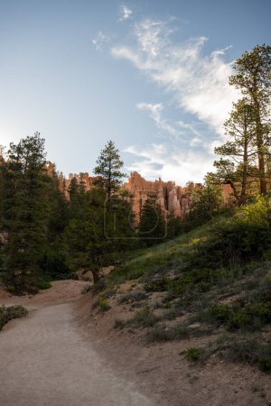 Téléchargez les photos : Hoodoos se lèvent sur la piste et les arbres au fond de l'amphithéâtre dans le parc national de Bryce Canyon - en image libre de droit