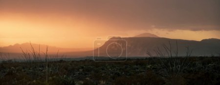 Téléchargez les photos : Panorama De La Lumière Du Matin Regardant Au Sud Au Mexique Depuis Le Parc National De Big Bend - en image libre de droit