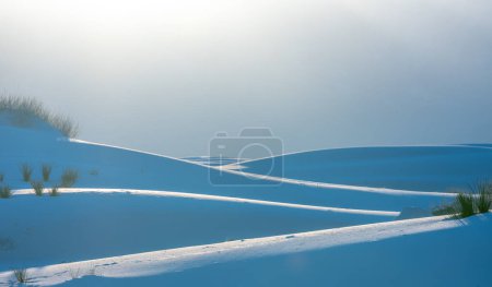 Photo for Evening Sun Highlights The Dunes In White Sands National Park - Royalty Free Image
