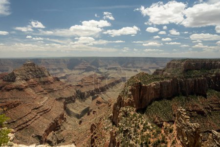 Téléchargez les photos : Nuages gonflés traversent le bord nord dans le Grand Canyon en été - en image libre de droit